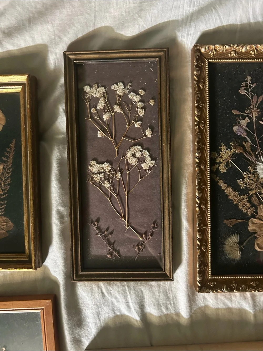 Vintage Framed Dried Floral Wall Art Collqge